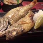 金沢で海鮮をたっぷり満喫！おすすめの居酒屋6選